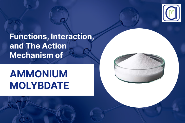 Functions Interaction and The Action Mechanism of Ammonium Molybdate