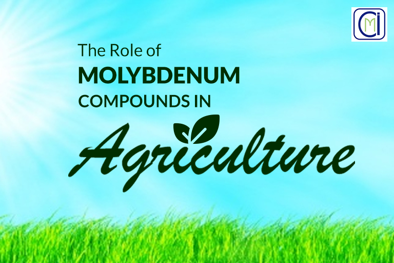 The Role of Molybdenum Compounds in Agriculture